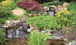 Add your favorite plants