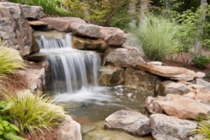 A waterfall makes an attractive addition to a water garden. waterfall-slider